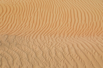 Sand Pattern