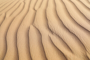Fototapeta na wymiar Sand Pattern