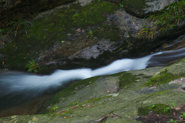 Early summer scenery of Dabie Mountain Bodao Peak Scenic Area in Luotian, Huanggang, Hubei, China