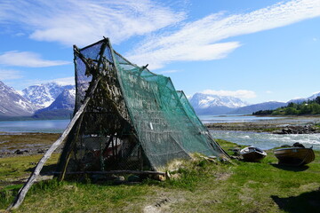 arctic stockfish and beautiful mountains in norway. 