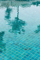 Shadows on the surface of the pool