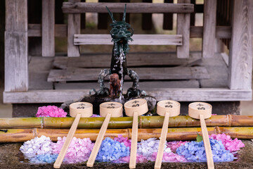 藤森神社 紫陽花祭