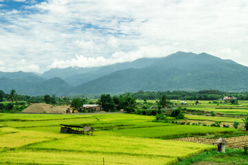 Fototapeta na wymiar Beautiful landscape scenic of rice field in the countryside in Nan