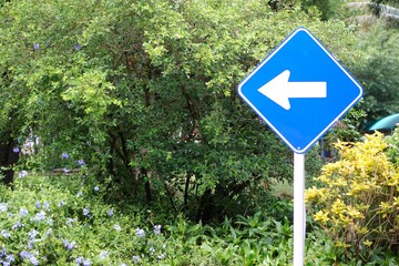 Arrow sign beside  the road at the park. Concept traffic sign. Giving direction.