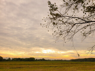 Beautiful nature sunset in the countryside . Wide rural scene under sunlight.