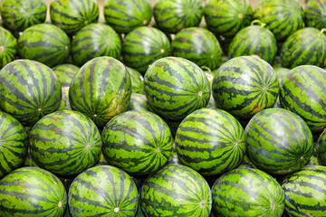 Fototapeta na wymiar Fresh watermelon on the market shelves.