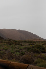 Paisaje con montaña de fondo 