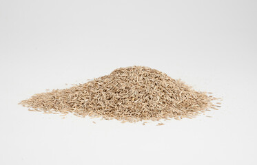 Grass Seed