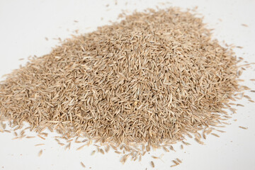 Grass Seed
