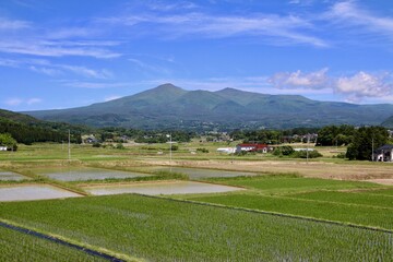 安達太良山と田んぼ・春（福島県・大玉村・本宮市）