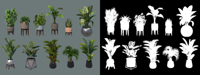 Various types of decorative plants and potted plants
