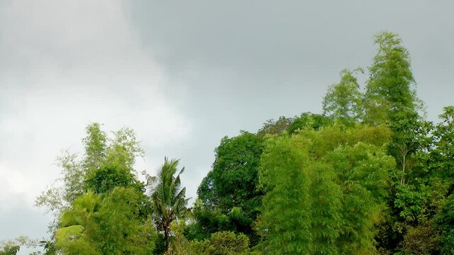 Jungle covered mountains on Panay island in the Philippines