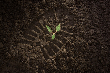footprint on the ground, footprint on the soil, green plant sprout growing on black soil, earth day...