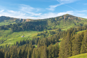 Fototapeta na wymiar Panoramic landscape view of the Swiss Alpes,with blue sky in the background, shot in La Berra, Gruyère, Switzerland