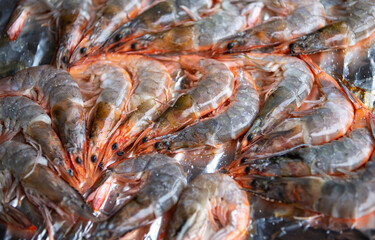 Close up shrimps on the grill