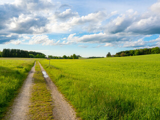 Sonnenuntergang in Bayern im Frühsommer 