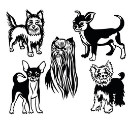 dog,animal,pet,sketch,terrier