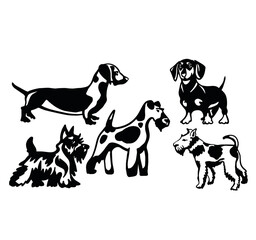 dog,animal,black,sketch,pattern