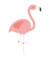 pretty pink flamingo