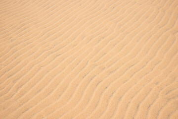 rippled sandy background texture