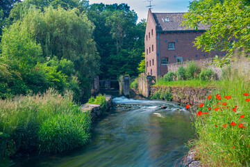 Fototapeta premium Long exposure of a water rapid of the Nekummer watermill in the Jeker river in the valley with blooming wild flowers and a old cottage just outside Maastricht