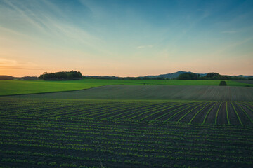 Obraz premium 畑, 丘陵地, 風景, ファーム