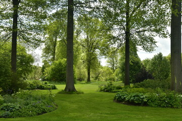 Chemin en gazon entre les arbres et les parterres de plantes rares à l'arboretum de Wespelaar 