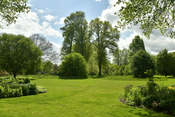 Fototapeta na wymiar Eclaircie entre deux nuages sombres donnant un contraste entre le vert de la végétation luxuriante et le gris du ciel à l'arboretum de Wespelaar en brabant Flamand 