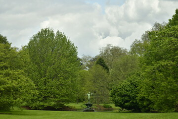 Fototapeta na wymiar L'étang avec sa statue-fontaine entre les arbres rares sous un ciel sombre à l'arboretum de Wespelaar 
