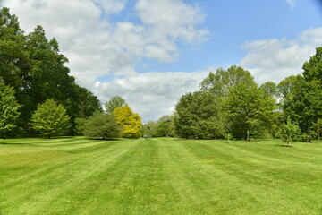 Eclaircie sur la grande pelouse de l'arboretum de Wespelaar 