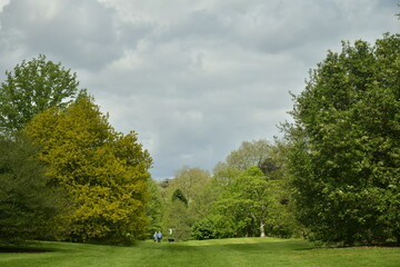 Promenade sur la pelouse principale sous un ciel gris à l'arboretum de Wespelaar 