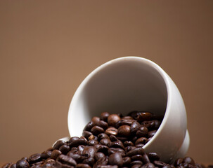cofee beans in a white ceramic cup.