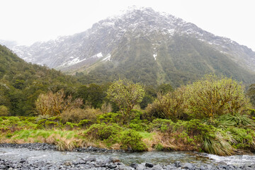 Landscape around Dunedin