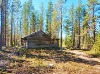 An old log cabin in the Swedish forest