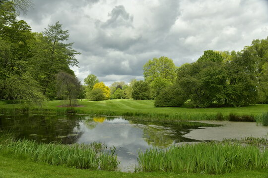 Trilogie d'une arriv&eacute;e d'&eacute;claircie sous un ciel nuageux et sombre menant &agrave; un contraste saisissant de vert et de gris &agrave; l'arboretum de Wespelaar au Brabant Flamand 