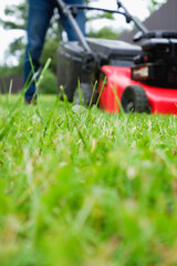 Lawn grass mowing. A man in a plaid shirt and blue jeans mows the grass with a lawn mower. Close up view.
