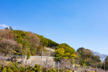 晴れた日の公園