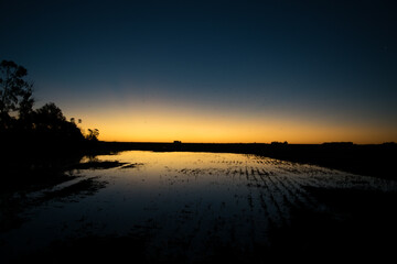 atardecer