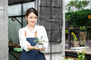 Asian woman Gardener working in houseplant. Owner start up small business  greenhouse. Cute Female holding small tree in pot and smiling in houseplant stay at home.