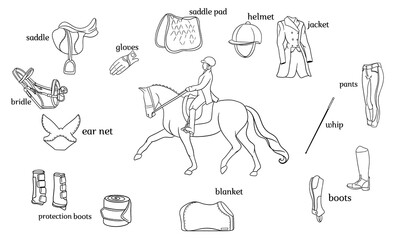 Equestrian sport infographics horse harness and rider equipment in the center of a rider on a horse