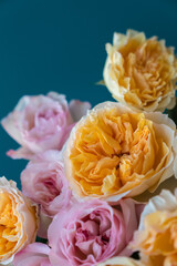 rose peonies close-up
