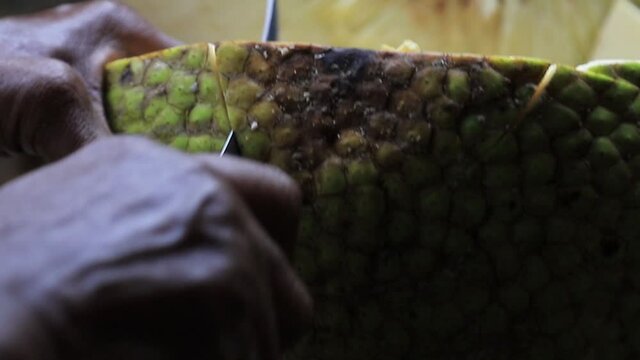 cutting into a breadfruit