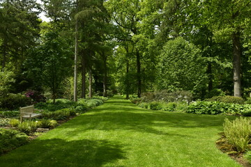 La végétation paysagère exceptionnelle entre les chemins gazonnés de l'arboretum de Wespelaar...