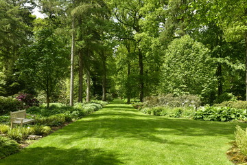 Fototapeta na wymiar La végétation paysagère exceptionnelle entre les chemins gazonnés de l'arboretum de Wespelaar en Brabant Flamand 