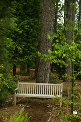 Coin de repos au pied d'un sapin à l'arboretum 