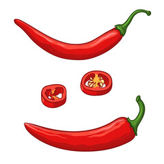 Red hot chili pepper. Vector illustration isolated on a white background.