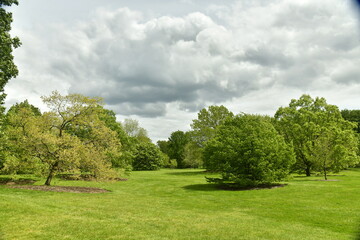 Nuages gris et parfois sombres contrastant avec la beauté verte des feuillage des arbres et...