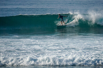 Surfer on perfect blue aquamarine wave, empty line up, perfect for surfing, clean water, Indian Ocean close to Mirissa in Sri Lanka.