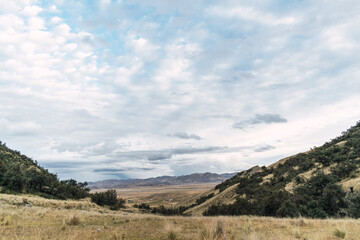 sunset in the peruvian andes the sun bathing the hills in the distance in yellow and surrounded by queñua trees with the blue sky