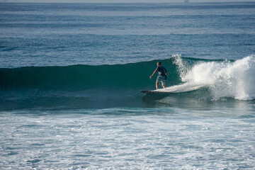 Obraz premium Surfer on perfect blue aquamarine wave, empty line up, perfect for surfing, clean water, Indian Ocean close to Mirissa
